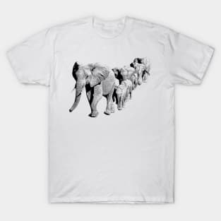 Elephant Family in Procession | African Wildlife T-Shirt